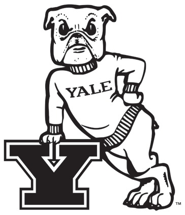 Yale Bulldogs 1972-1997 Primary Logo diy fabric transfer